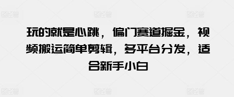玩的就是心跳，偏门赛道掘金，视频搬运简单剪辑，多平台分发，适合新手小白【揭秘】-kk网创