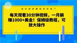 每天观看30分钟视频，一月躺赚1000+美金！保姆级教程，可放大操作【揭秘】-kk网创