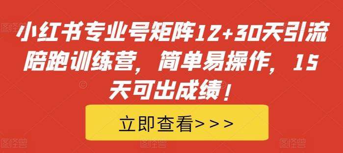 小红书专业号矩阵12+30天引流陪跑训练营，简单易操作，15天可出成绩!-kk网创
