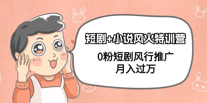 (9374期)短剧+小说风火特训营，0粉短剧风行推广，月入过万(102节课)-kk网创