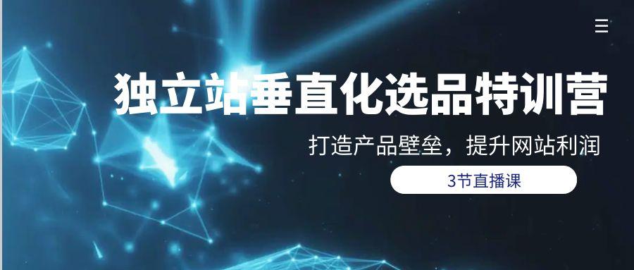(9925期)独立站-垂直化选品训练营，打造产品壁垒，提升网站利润(3节直播课)-kk网创
