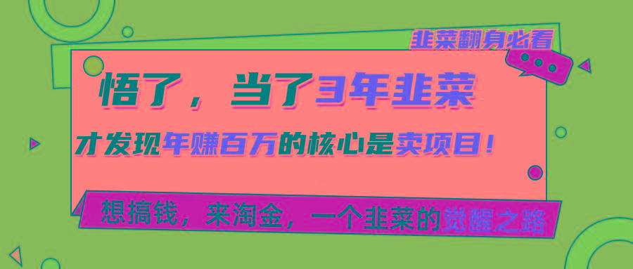悟了，当了3年韭菜，才发现网赚圈年赚100万的核心是卖项目，含泪分享！-kk网创