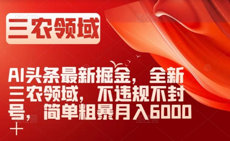 AI头条最新掘金，全新三农领域，不违规不封号，简单粗暴月入6000＋【揭秘】-kk网创