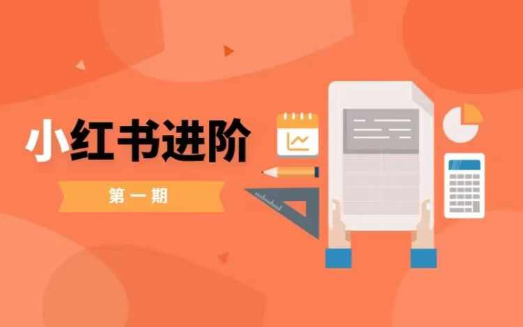 小红书进阶篇，零基础小白实战课，普通人变现的课程-kk网创