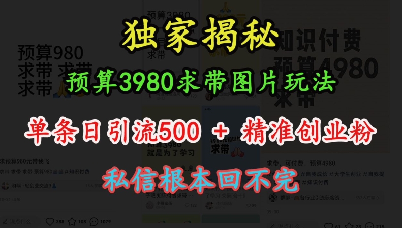 预算3980求带 图片玩法，单条日引流500+精准创业粉，私信根本回不完-kk网创