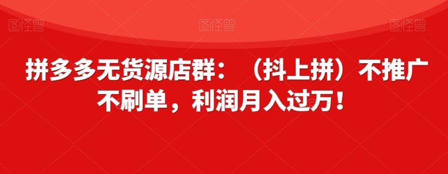 拼多多无货源店群：（抖上拼）不推广不刷单，利润月入过万！【揭秘】-kk网创