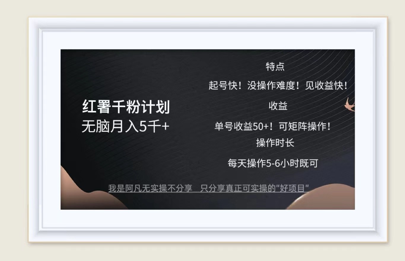 红薯千粉计划无脑月入5千+！既做既赚！-kk网创