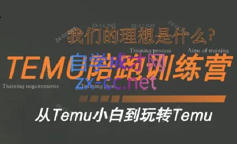苗苗·拼多多跨境（temu）课程-kk网创