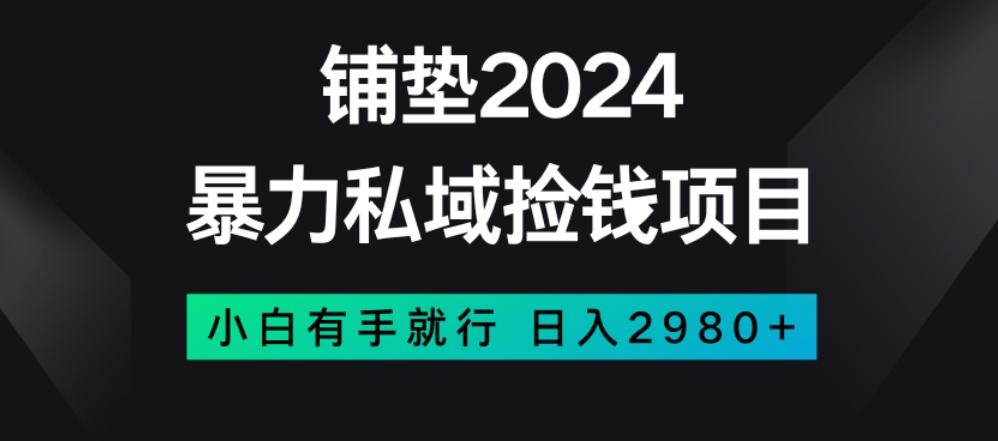 暴力私域捡钱项目，小白无脑操作，日入2980【揭秘】-kk网创