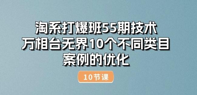 淘系打爆班55期技术：万相台无界10个不同类目案例的优化(10节)-kk网创