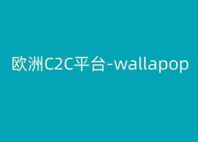 欧洲C2C平台-wallapop-kim跨境电商教程-kk网创