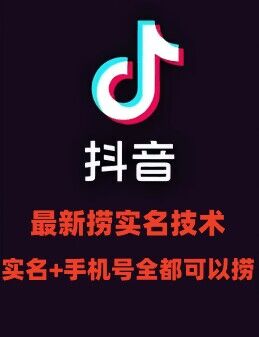 最新技术抖音捞实名+捞手机号技术，抖音直播封禁释放十名/手机号，直接替换出来!-kk网创