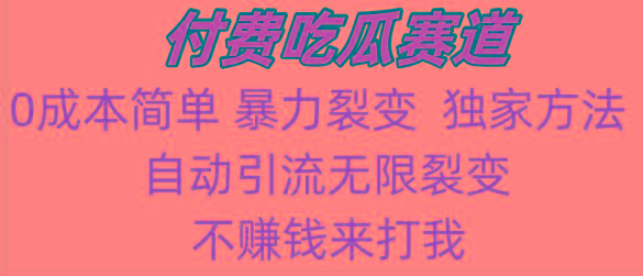 吃瓜付费赛道，暴力无限裂变，0成本，实测日入700+！！！-kk网创