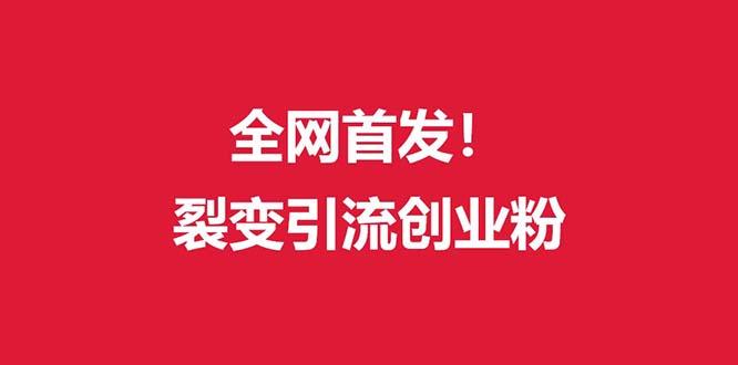(全网首发)外面收费几千的裂变引流高质量创业粉-kk网创