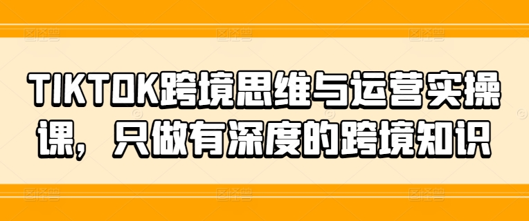 TIKTOK跨境思维与运营实操课，只做有深度的跨境知识-kk网创