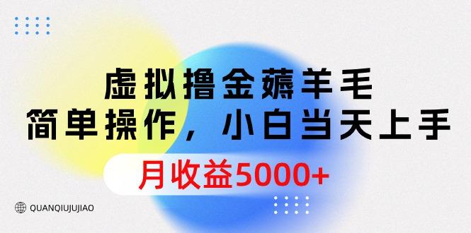 (9864期)虚拟撸金薅羊毛，简单操作，小白当天上手，月收益5000+-kk网创