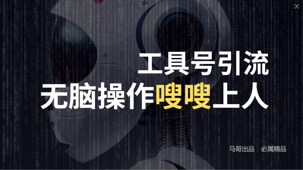 24年抖音最新工具号日引流300+创业粉，日入5000+-kk网创