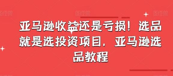 亚马逊收益还是亏损！选品就是选投资项目，亚马逊选品教程-kk网创