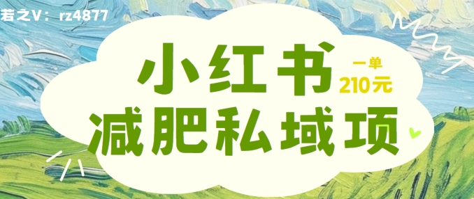 小红书减肥粉，私域变现项目，一单就达210元，小白也能轻松上手【揭秘】-kk网创