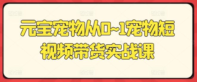 元宝宠物从0~1宠物短视频带货实战课-kk网创