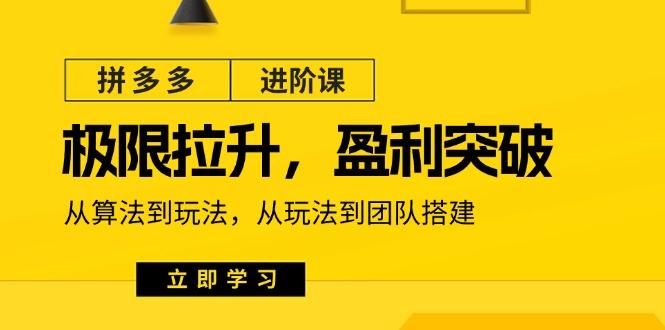 拼多多·进阶课：极限拉升/盈利突破：从算法到玩法 从玩法到团队搭建-18节-kk网创