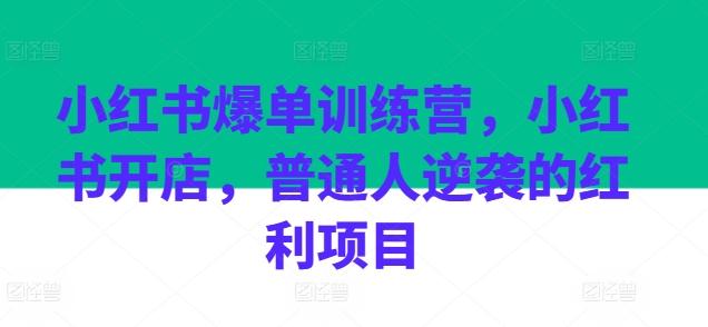 小红书爆单训练营，小红书开店，普通人逆袭的红利项目-kk网创