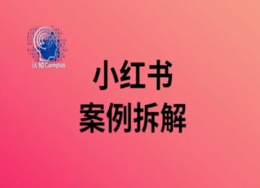 小红书案例拆解，深度解读小红书40万粉-kk网创