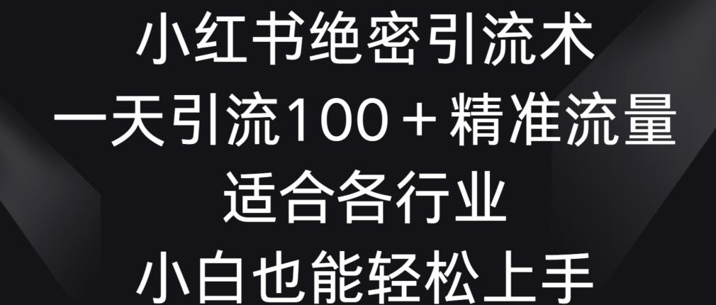 小红书绝密引流术，一天引流100+精准流量，适合各个行业，小白也能轻松上手【揭秘】-kk网创