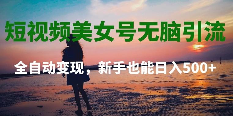 短视频美女号无脑引流，全自动变现，新手也能日入500+-kk网创
