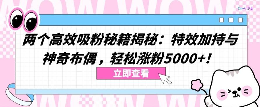 两个高效吸粉秘籍揭秘：特效加持与神奇布偶，轻松涨粉5000+【揭秘】-kk网创
