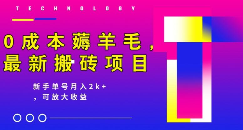 0成本薅羊毛，最新搬砖项目，新手单号月入2k+，可放大操作-kk网创