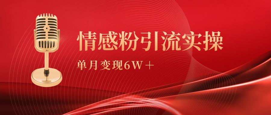 (9473期)单月变现6w+，情感粉引流变现实操课-kk网创