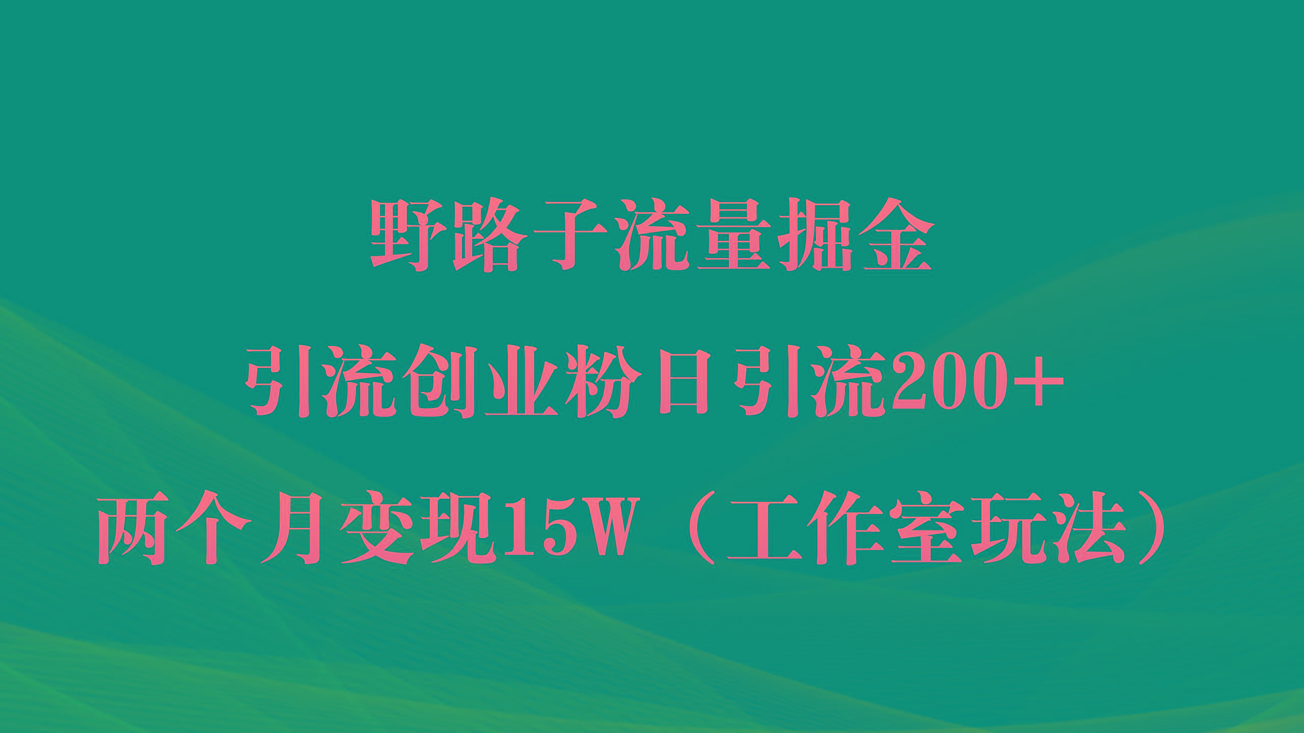 (9513期)野路子流量掘金，引流创业粉日引流200+，两个月变现15W(工作室玩法))-kk网创