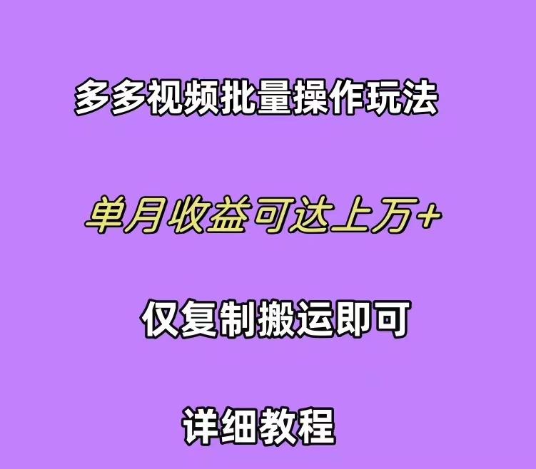 (10029期)拼多多视频带货快速过爆款选品教程 每天轻轻松松赚取三位数佣金 小白必…-kk网创