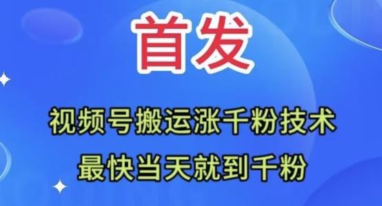 全网首发：视频号无脑搬运涨千粉技术，最快当天到千粉【揭秘】-kk网创