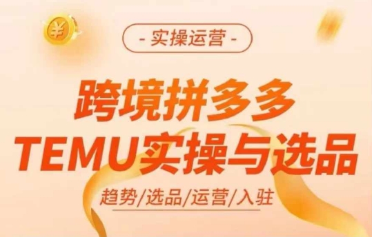 跨境拼多多TEMU实操与选品，多多temu跨境选品运营实操-kk网创