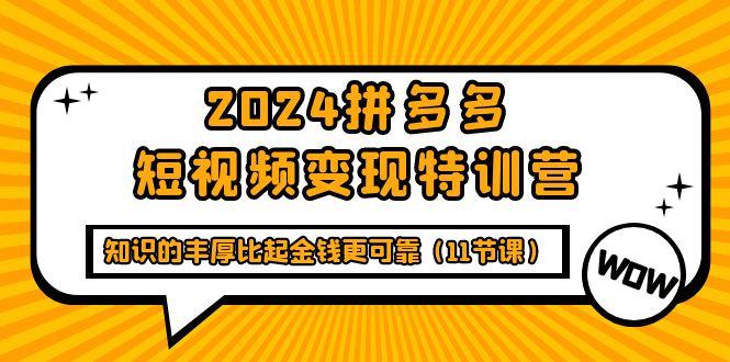 (9817期)2024拼多多短视频变现特训营，知识的丰厚比起金钱更可靠(11节课)-kk网创