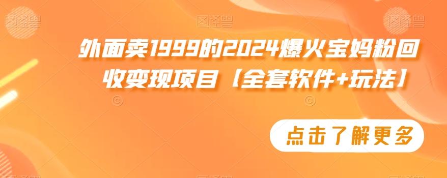 外面卖1999的2024爆火宝妈粉回收变现项目【全套软件+玩法】【揭秘】-kk网创