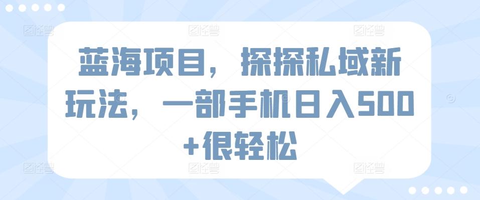 蓝海项目，探探私域新玩法，一部手机日入500+很轻松【揭秘】-kk网创