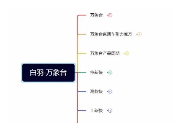 白羽·直引万搜索全篇，从0-1，多个类目实操经验总结付费-kk网创