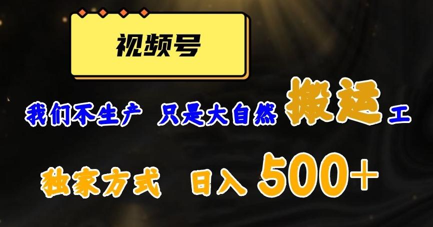 视频号轻松搬运日赚500+，一个1分钟1条原创视频【揭秘】-kk网创
