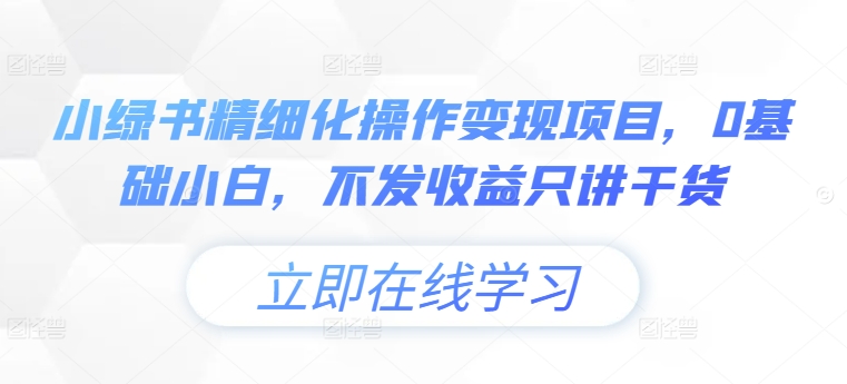 小绿书精细化操作变现项目，0基础小白，不发收益只讲干货-kk网创