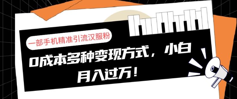 一部手机精准引流汉服粉，0成本多种变现方式，小白月入过万！-kk网创