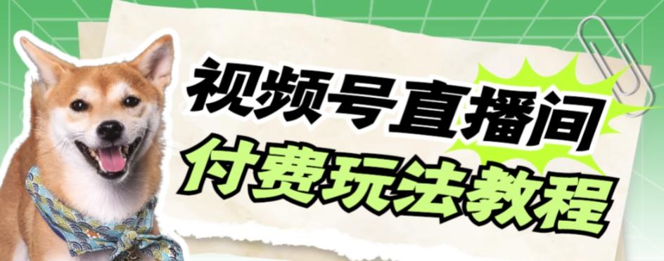 视频号美女付费无人直播，轻松日入500+【详细玩法教程】-kk网创