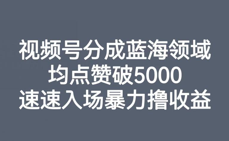 视频号分成蓝海领域，均点赞破5000，速速入场暴力撸收益-kk网创