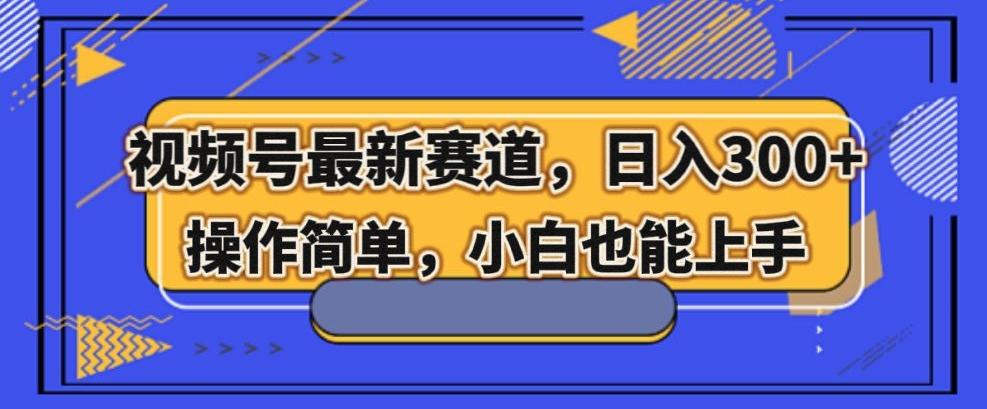 视频号最新赛道，日入300+，新手小白轻松掌握-kk网创