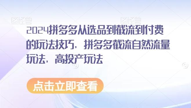 2024拼多多从选品到截流到付费的玩法技巧，拼多多截流自然流量玩法，高投产玩法-kk网创