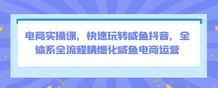 电商实操课，快速玩转咸鱼抖音，全体系全流程精细化咸鱼电商运营-kk网创
