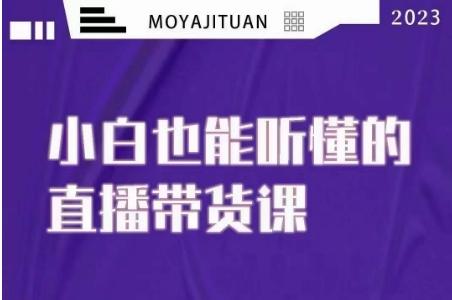 大威本威·能听懂的直播带货课，小白也能听懂，20节完整-kk网创