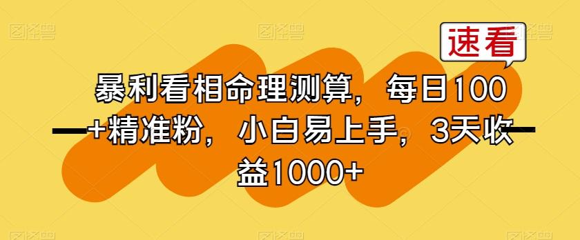暴利看相命理测算，每日100+精准粉，小白易上手，3天收益1000+【揭秘】-kk网创